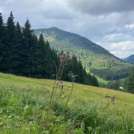 Feel-good In Heufeld Near Bad Aibling 公寓